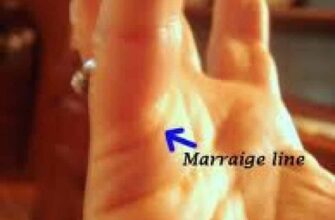 Palmistry Ikebukuro Guide Marriage Luck Meaning 335x220